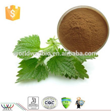 4:1 ~ 200:1 as your requirement,High quality nettle extract / nettle leaf extract